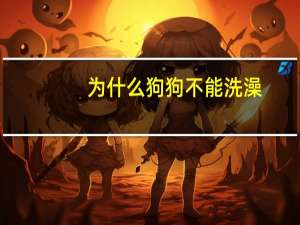 为什么狗狗不能洗澡