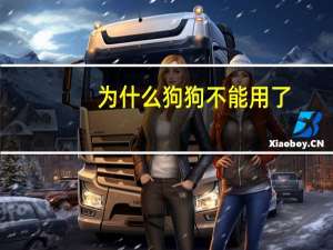 为什么狗狗不能用了