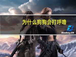 为什么狗狗会打呼噜