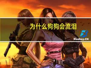 为什么狗狗会流泪