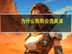 为什么狗狗会流鼻涕
