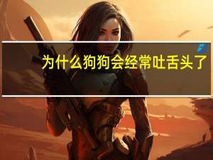 为什么狗狗会经常吐舌头了