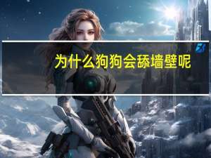 为什么狗狗会舔墙壁呢