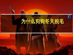 为什么狗狗冬天脱毛