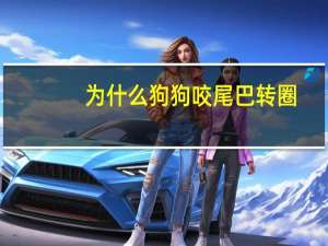 为什么狗狗咬尾巴转圈