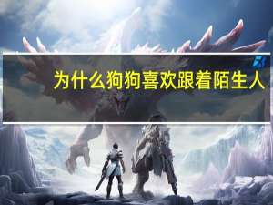为什么狗狗喜欢跟着陌生人