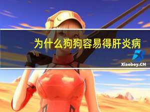 为什么狗狗容易得肝炎病