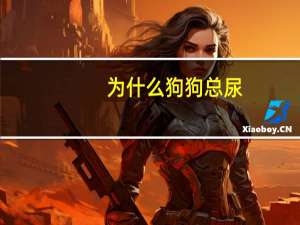 为什么狗狗总尿