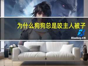 为什么狗狗总是咬主人被子