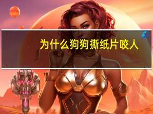 为什么狗狗撕纸片咬人