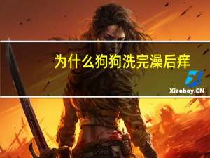 为什么狗狗洗完澡后痒