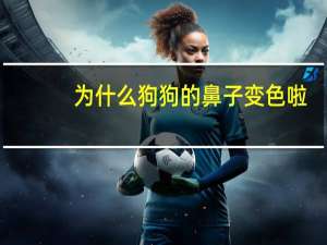 为什么狗狗的鼻子变色啦