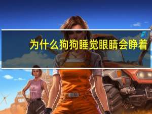 为什么狗狗睡觉眼睛会睁着