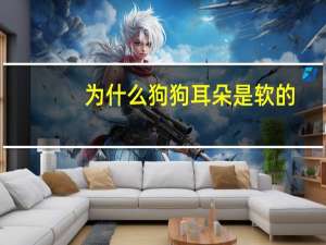 为什么狗狗耳朵是软的