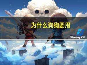 为什么狗狗要甩