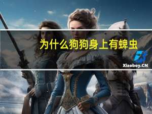 为什么狗狗身上有蜱虫