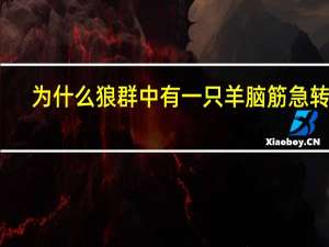 为什么狼群中有一只羊脑筋急转弯
