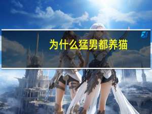 为什么猛男都养猫