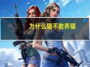 为什么猫不敢养猫