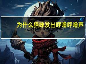 为什么猫咪发出呼噜呼噜声