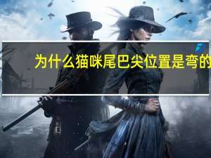 为什么猫咪尾巴尖位置是弯的