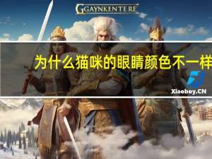 为什么猫咪的眼睛颜色不一样