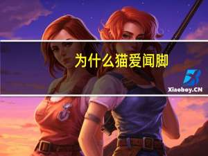 为什么猫爱闻脚