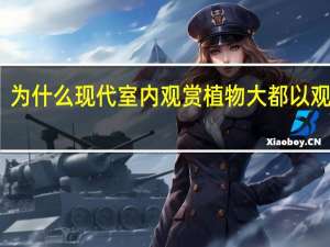 为什么现代室内观赏植物大都以观叶植