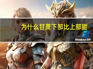 为什么甘蔗下部比上部甜？
