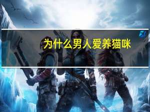 为什么男人爱养猫咪