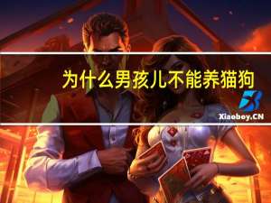 为什么男孩儿不能养猫狗