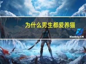 为什么男生都爱养猫