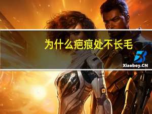 为什么疤痕处不长毛，拉布拉多犬有长毛的吗