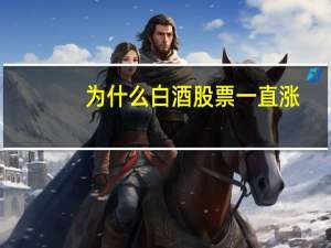 为什么白酒股票一直涨