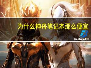为什么神舟笔记本那么便宜