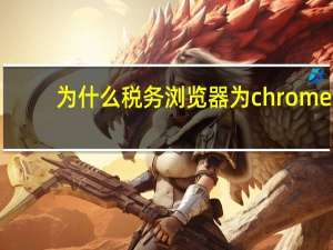 为什么税务浏览器为chrome