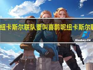 为什么纽卡斯尔联队要叫喜鹊呢 纽卡斯尔联队老板是谁