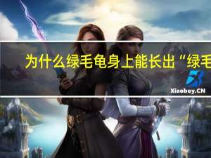 为什么绿毛龟身上能长出“绿毛”