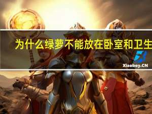 为什么绿萝不能放在卧室和卫生间