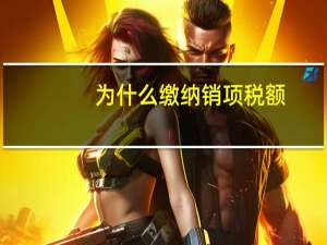 为什么缴纳销项税额