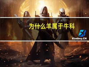 为什么羊属于牛科