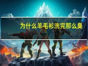 为什么羊毛衫洗完那么臭