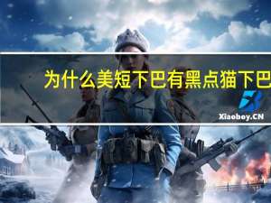 为什么美短下巴有黑点 猫下巴那一堆黑点是什么