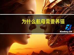 为什么航母需要养猫
