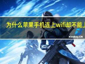 为什么苹果手机连上wifi却不能上网