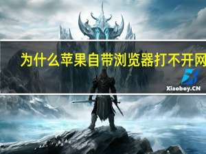 为什么苹果自带浏览器打不开网页（浏览器打不开网页）