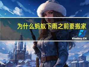 为什么蚂蚁下雨之前要搬家