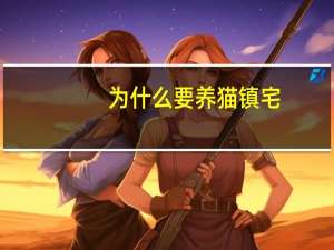 为什么要养猫镇宅