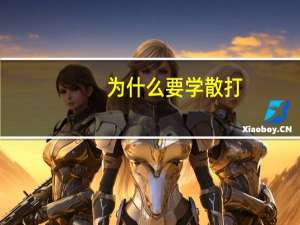 为什么要学散打