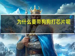 为什么要带狗狗打芯片呢